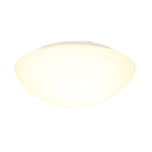 Plafonniere Ceiling and wall modern Wit