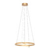 Hanglamp Ringlux Modern 2 lichtpunten Goud