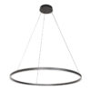 Hanglamp Ringlux modern 2 lichtpunten Zwart