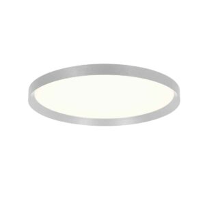 Plafonniere Flady modern 2 lichtpunten Staal
