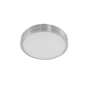 Plafonniere Ceiling and wall modern Staal